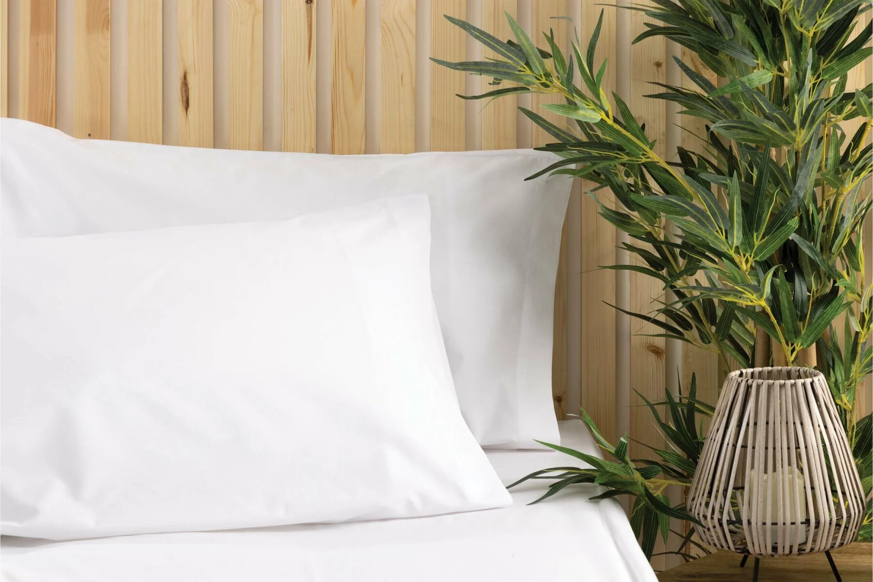 Sleep Naturally, Live Beautifully